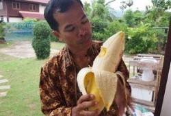 大香蕉国产成人,揭秘国内成人影视产业的崛起与挑战