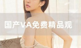 国产va在线观看视频,畅享视听盛宴，解锁精彩瞬间