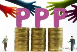 国产ppp,创新与发展之路