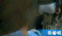 国产免费的野战视频,揭秘真实战场上的英勇瞬间