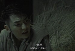 国产电影三级,揭秘中国电影市场的崛起与挑战