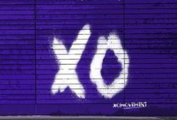 国产xoxo,探索中国原创潮流文化的新篇章