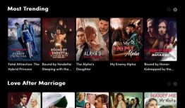 国产在线中文,引领潮流的文化盛宴